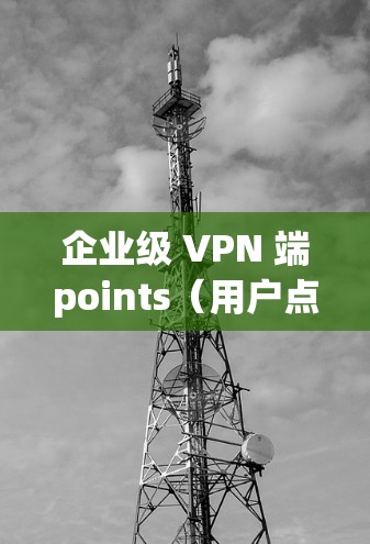 企业级 VPN 端points（用户点）的部署方案需要综合考虑企业的网络规模、技术需求和合规要求。以下是详细的部署方案
