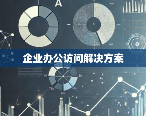 企业办公访问解决方案 企业办公访问解决方案