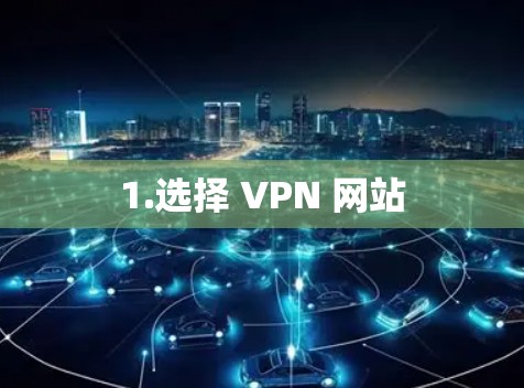 1.选择 VPN 网站