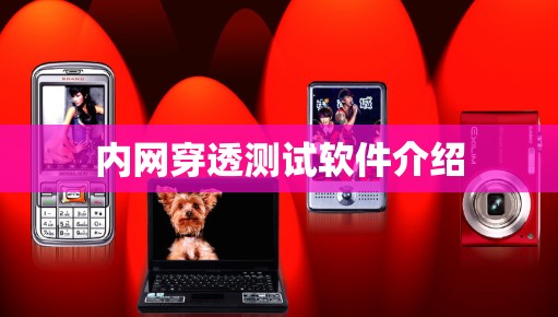 内网穿透测试软件介绍