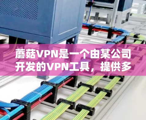 蘑菇VPN是一个由某公司开发的VPN工具，提供多种配置选项和国际服务器连接。以下是使用蘑菇VPN的指南
