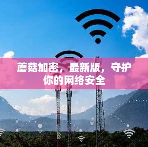 蘑菇加密,最新版,守护你的网络安全 蘑菇加密,最新版,守护你的网络安全
