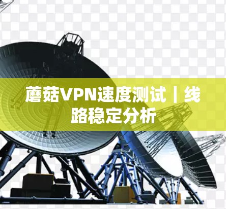 蘑菇VPN速度测试|线路稳定分析 蘑菇VPN速度测试|线路稳定分析