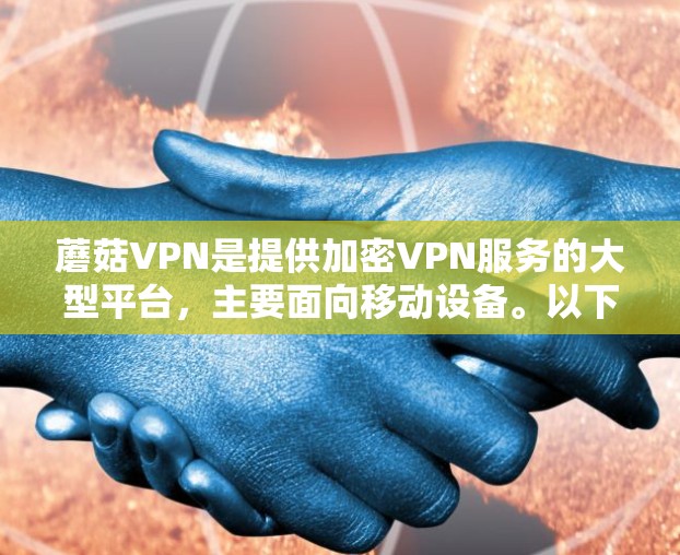蘑菇VPN是提供加密VPN服务的大型平台，主要面向移动设备。以下是针对蘑菇VPN的详细分析