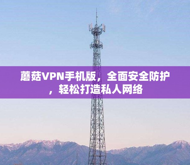 蘑菇VPN手机版，全面安全防护，轻松打造私人网络