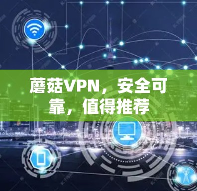 蘑菇VPN，安全可靠，值得推荐