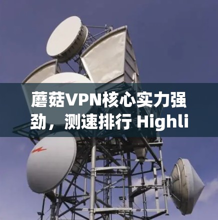蘑菇VPN核心实力强劲,测速排行 Highlights 你的VPN选择 蘑菇VPN核心实力强劲,测速排行 Highlights 你的VPN选择