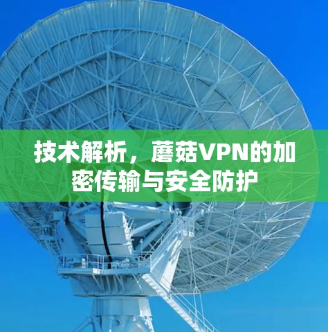 技术解析,蘑菇VPN的加密传输与安全防护 技术解析,蘑菇VPN的加密传输与安全防护