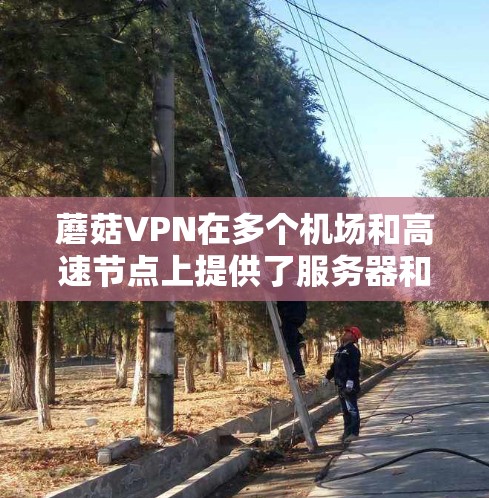 蘑菇VPN在多个机场和高速节点上提供了服务器和高速连接,以下是具体的推荐信息 蘑菇VPN在多个机场和高速节点上提供了服务器和高速连接,以下是具体的推荐信息