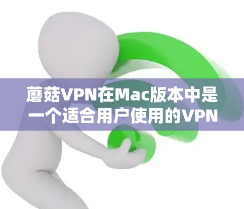 蘑菇VPN在Mac版本中是一个适合用户使用的VPN服务，提供安全、便捷的网络连接。以下是使用蘑菇VPNMac版的简单步骤指南