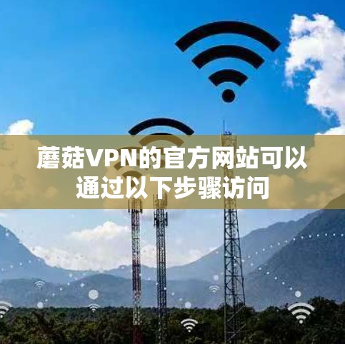 蘑菇VPN的官方网站可以通过以下步骤访问 蘑菇VPN的官方网站可以通过以下步骤访问