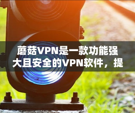 蘑菇VPN是一款功能强大且安全的VPN软件,提供多种加密方式,适合普通用户和加密用户。以下是使用蘑菇VPN进行VPN操作的步骤