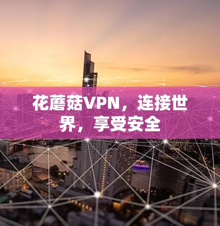 花蘑菇VPN,连接世界,享受安全