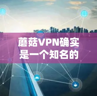 蘑菇VPN确实是一个知名的VPN服务,但官方的iOS版可能需要根据苹果平台的规定和要求来下载。苹果平台对第三方软件的要求较高,因此官方的iOS版可能会有所不同