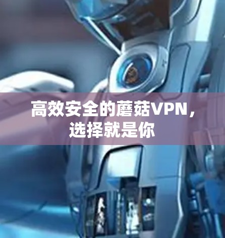 高效安全的蘑菇VPN,选择就是你