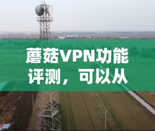 蘑菇VPN功能评测,可以从以下几个方面进行