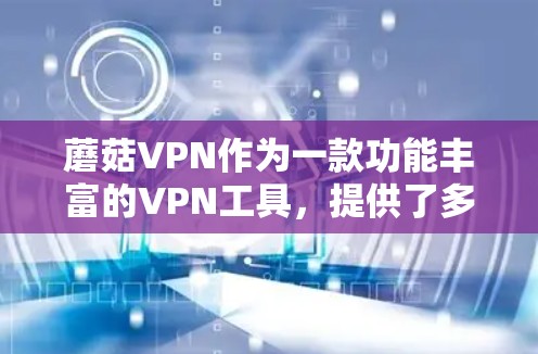 蘑菇VPN作为一款功能丰富的VPN工具,提供了多种配置选项和不同的服务类型,适合不同需求的用户。以下是蘑菇VPN的主要功能介绍,按功能分类整理如下