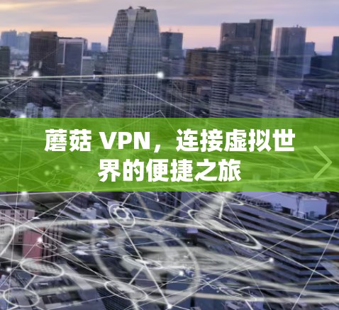 蘑菇 VPN，连接虚拟世界的便捷之旅