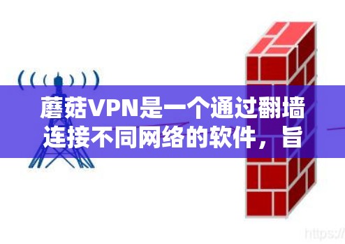 蘑菇VPN是一个通过翻墙连接不同网络的软件，旨在为用户提供安全、高效的数据传输服务。为了下载并稳定安装该软件，可以按照以下步骤进行