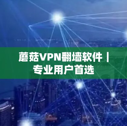 蘑菇VPN翻墙软件|专业用户首选