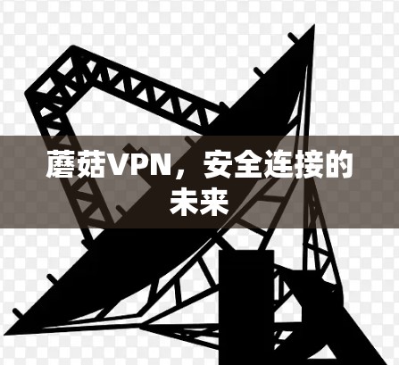 蘑菇VPN，安全连接的未来