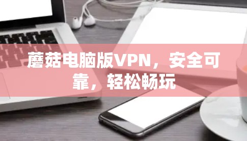 蘑菇电脑版VPN，安全可靠，轻松畅玩