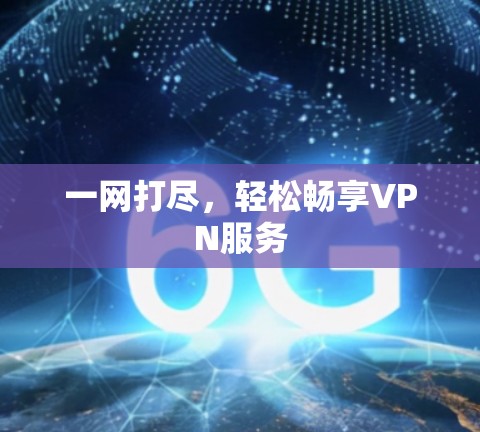 一网打尽，轻松畅享VPN服务
