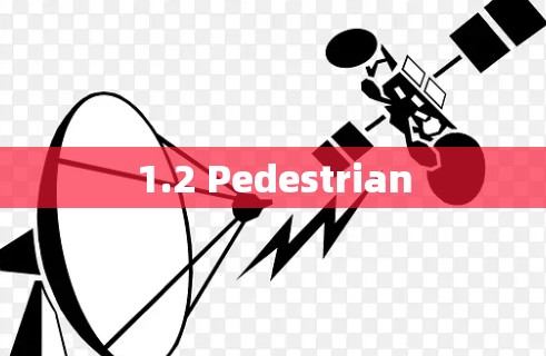 1.2 Pedestrian