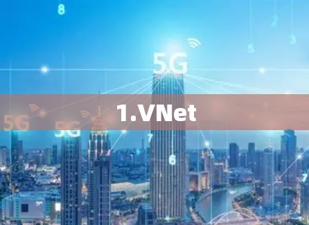 1.VNet