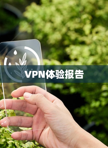 VPN体验报告