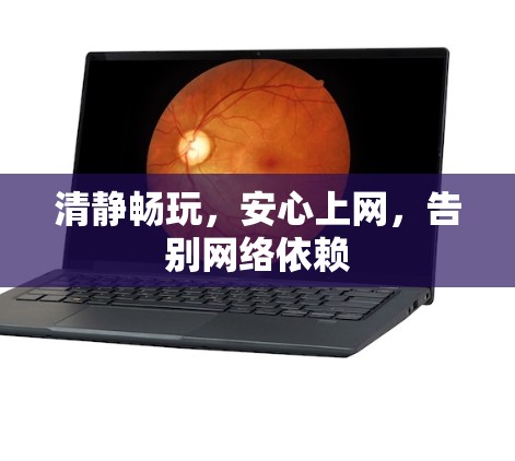 清静畅玩，安心上网，告别网络依赖