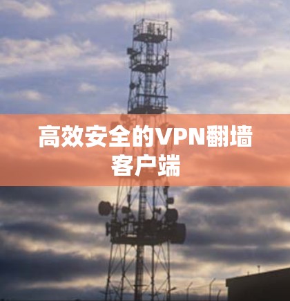 高效安全的VPN翻墙客户端