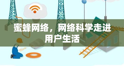 蜜蜂网络，网络科学走进用户生活