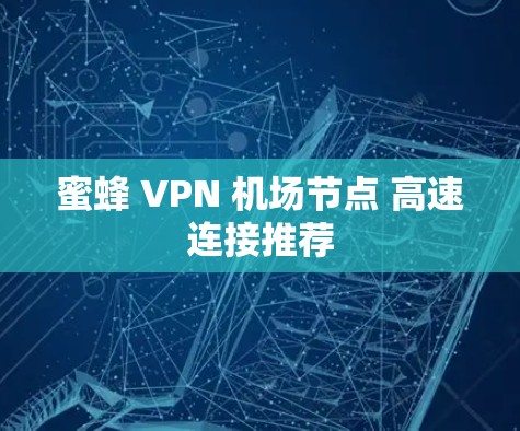 蜜蜂 VPN 机场节点 高速连接推荐