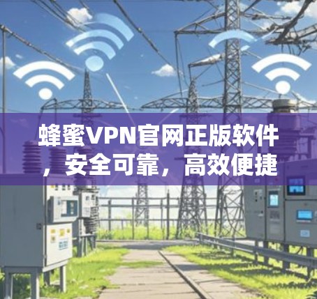 蜂蜜VPN官网正版软件,安全可靠,高效便捷