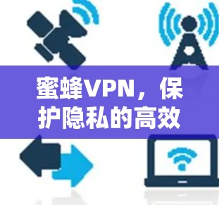 蜜蜂VPN,保护隐私的高效安全服务