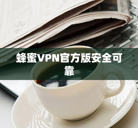 蜂蜜VPN官方版安全可靠 蜂蜜VPN官方版安全可靠