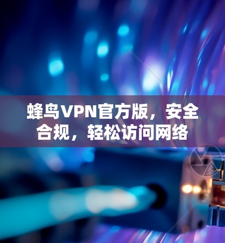 蜂鸟VPN官方版，安全合规，轻松访问网络