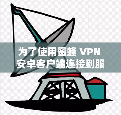 为了使用蜜蜂 VPN 安卓客户端连接到服务器，您可以按照以下步骤操作