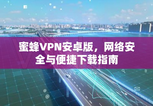 蜜蜂VPN安卓版,网络安全与便捷下载指南