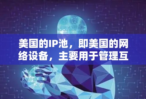 美国的IP池,即美国的网络设备,主要用于管理互联网流量,保护用户数据并执行网络攻击。以下是关于美国IP池的详细信息
