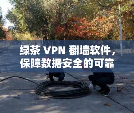 绿茶 VPN 翻墙软件,保障数据安全的可靠选择
