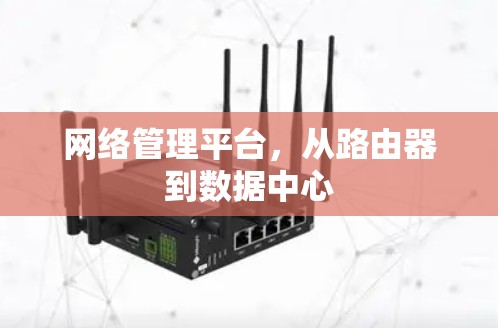 网络管理平台,从路由器到数据中心