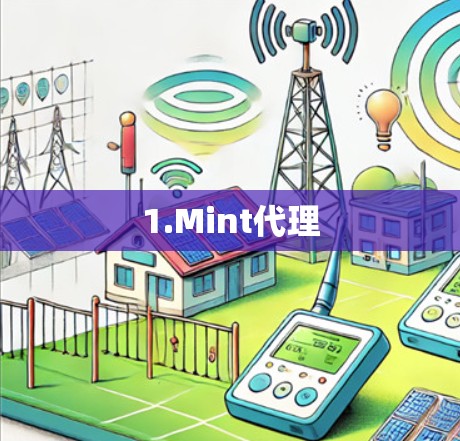 1.Mint代理