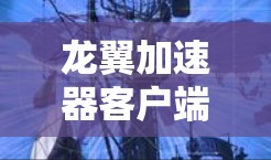 龙翼加速器客户端是用于加速手机网络的软件,支持3G和4G网络。以下是详细的步骤和注意事项 龙翼加速器客户端是用于加速手机网络的软件,支持3G和4G网络。以下是详细的步骤和注意事项