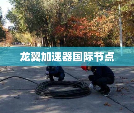 龙翼加速器国际节点