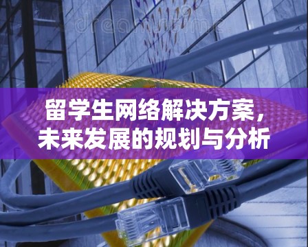 留学生网络解决方案,未来发展的规划与分析