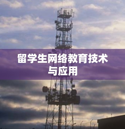 留学生网络教育技术与应用