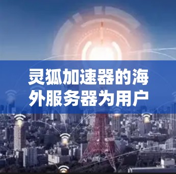 灵狐加速器的海外服务器为用户提供多种选择，根据用户的配置和需求，选择合适的服务器进行连接。以下是详细的步骤说明