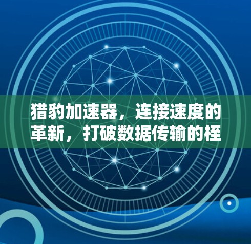 猎豹加速器,连接速度的革新,打破数据传输的桎梏